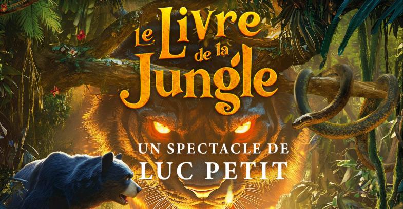 affiche du spectacle