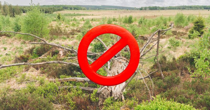 interdiction circulation forêt