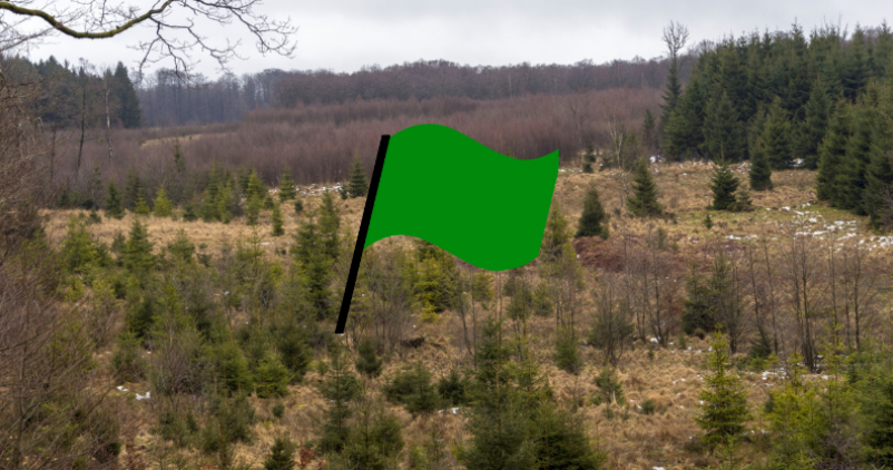 drapeau vert hautes fagnes