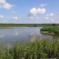 Etang de Virelles