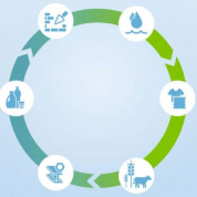 Illustration sur l'économie circulaire