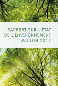 Rapport sur l'état de l'environnement wallon 2017
