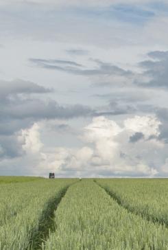 agriculture en chiffres 