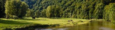 Environnement et agriculture